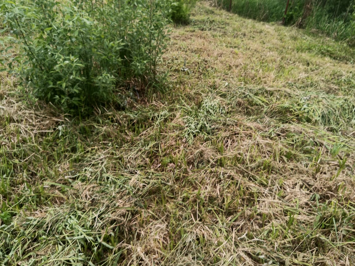 ������ ��� ������������ ������